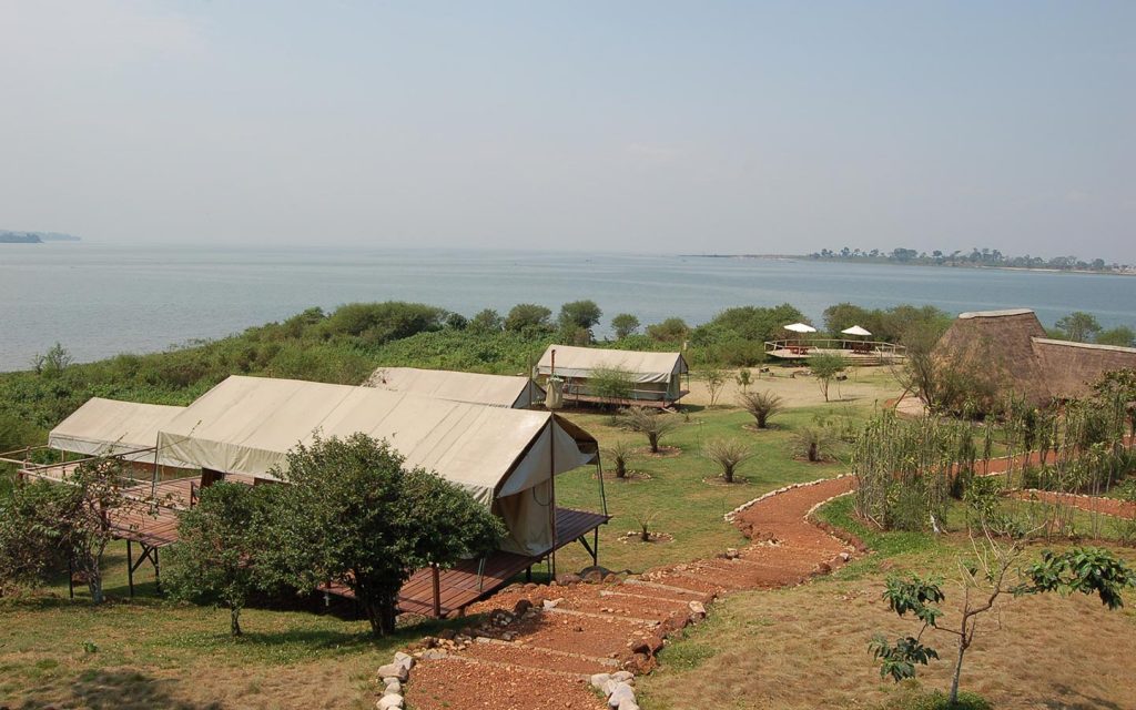 Ngamba Island